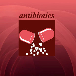 Comparison of Immediate Blanket Treatment versus a Delayed Pathogen-Based Treatment Protocol for Clinical Mastitis Using an On-Farm Culture Test at a Commercial German Dairy Farm