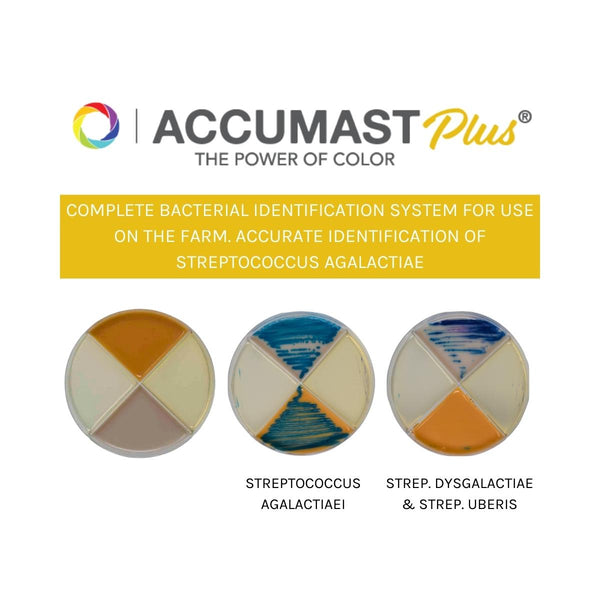 AccuMast Plus®