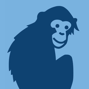 Effect of the Use of Bovine Appeasing Substance on Immunological, Metabolic, and Oxidative Parameters of Postpartum Dairy Cows: Modulation of the Stress Axis