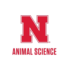 Evaluation of FerAppease® Administered at Arrival and Time of Reimplant on Feedlot Performance and Carcass Characteristics of Yearling Beef Steers