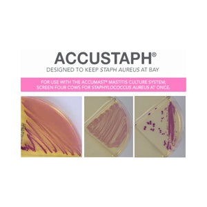 AccuStaph®
