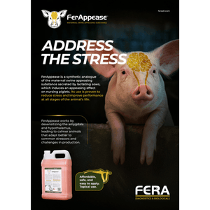 Swine Flyer