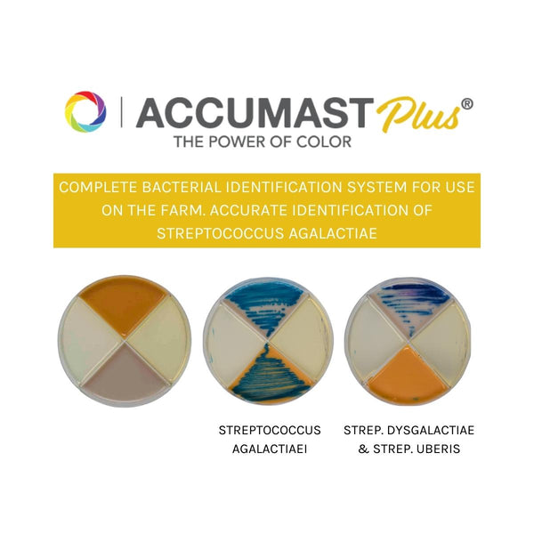 AccuMast Plus<sup>®</sup>