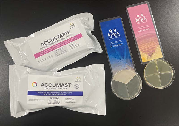Starter Package - AccuMast & AccuStaph